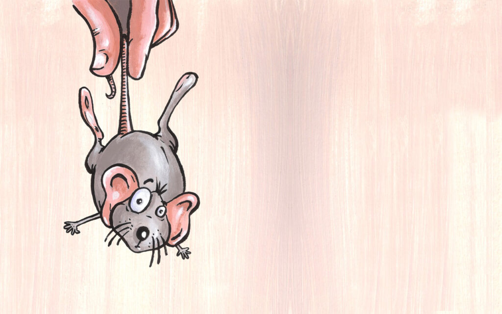 Au fil des aventures